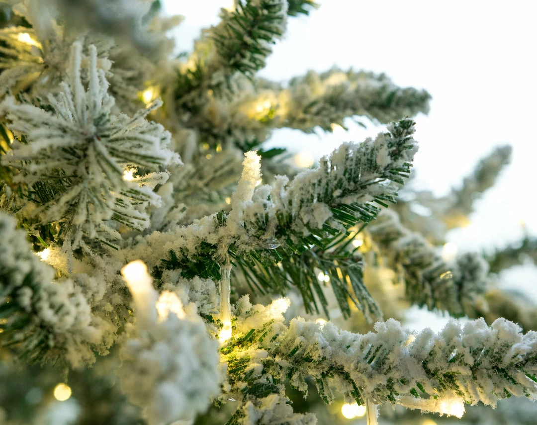 Best reviews of β¨ The π
Christmas Palace 9 FT WYOMING FLOCKED TREE PRE LIT COLOR CHANGING LED π€© 3 The Christmas Palace 9 FT WYOMING FLOCKED TREE PRE LIT COLOR CHANGING LED