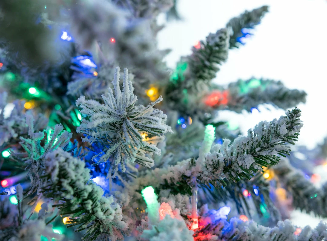 Best reviews of β¨ The π
Christmas Palace 9 FT WYOMING FLOCKED TREE PRE LIT COLOR CHANGING LED π€© 4 The Christmas Palace 9 FT WYOMING FLOCKED TREE PRE LIT COLOR CHANGING LED