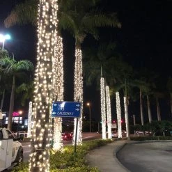 The Christmas Palace WARM WHITE LED TRUNK LIGHT GRAY NET 10FT X 18"-36"