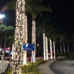 The Christmas Palace CHRISTMAS LIGHTS WARM WHITE LED TRUNK LIGHT GRAY NET 20FT X 36"-70"