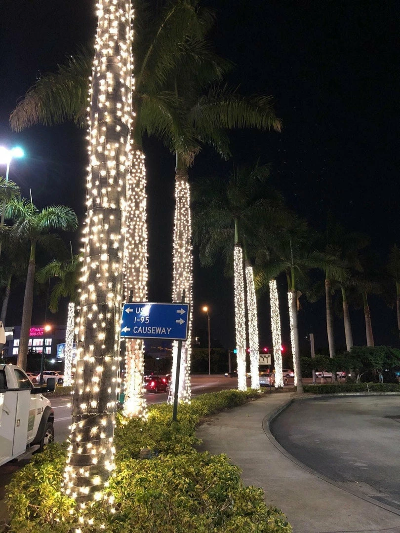 Hot Sale π₯° The β Christmas Palace β Christmas LIGHTS WARM WHITE LED TRUNK LIGHT GRAY NET 20FT X 36"-70" π₯° 2 The Christmas Palace CHRISTMAS LIGHTS WARM WHITE LED TRUNK LIGHT GRAY NET 20FT X 36"-70"