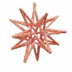 The Christmas Palace DECEMBER DIAMONDS CORAL STARBURST ORNAMENT SET OF 2 Christmas Ornaments