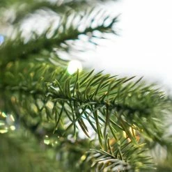 The Christmas Palace 10 FT RUSSIAN FIR SLIM PRE LIT CLEAR & MULTI COLOR LED LIGHTS CHRISTMAS TREES