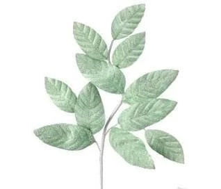 Best reviews of π― The π Christmas Palace Stems & Picks 26" MINT GREEN FROSTED π¬ CANDY LEAF SPRAY SET OF 6 π₯° 1 The Christmas Palace Stems & Picks 26" MINT GREEN FROSTED CANDY LEAF SPRAY SET OF 6