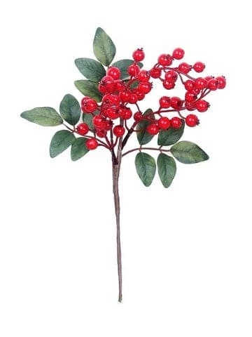 New π₯° The π
Christmas Palace 14" RED BERRY PICK SET OF 12 Stems & Picks π 1 The Christmas Palace 14" RED BERRY PICK SET OF 12 Stems & Picks