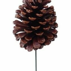 The Christmas Palace 4" LACQUERED PINE CONE PICK SET OF 12