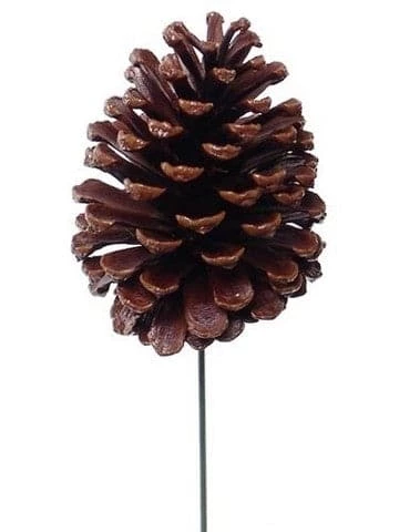 Discount π The π Christmas Palace 4" LACQUERED PINE CONE PICK SET OF 12 π 1 The Christmas Palace 4" LACQUERED PINE CONE PICK SET OF 12