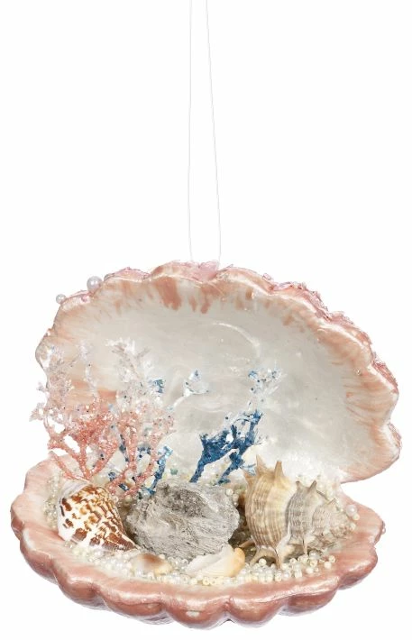 Coupon π The π
Christmas Palace π
Christmas Ornaments MARK ROBERTS 5" PINK OPEN SHELL ORNAMENT SET OF 4 β€οΈ 1 The Christmas Palace Christmas Ornaments MARK ROBERTS 5" PINK OPEN SHELL ORNAMENT SET OF 4