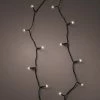 The Christmas Palace LED String Motion 24 FT 96 LED WARM WHITE TWINKLE BLACK WIRE BATTERY OPERATED