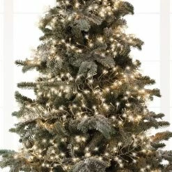 Best reviews of βοΈ The π Christmas Palace 44 FT CLUSTER 1512 LED WARM WHITE CLUSTER TRANSPARENT WIRE 8 FUNCTION TWINKLE π 6 The Christmas Palace 44 FT CLUSTER 1512 LED WARM WHITE CLUSTER TRANSPARENT WIRE 8 FUNCTION TWINKLE