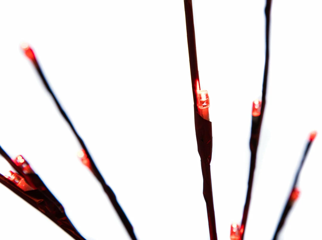 Top 10 β€οΈ The β Christmas Palace Changing Of The Guards 72 LED RED FLASHING POLESTAR RED CORDED π 2 The Christmas Palace Changing Of The Guards 72 LED RED FLASHING POLESTAR RED CORDED