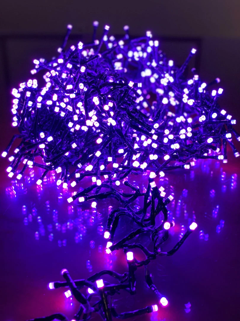 Cheapest π The β Christmas Palace 20 FT CLUSTER 768 LED COLOR CHANGE GREEN WIRE 8 FUNCTION TWINKLE π 1 The Christmas Palace 20 FT CLUSTER 768 LED COLOR CHANGE GREEN WIRE 8 FUNCTION TWINKLE