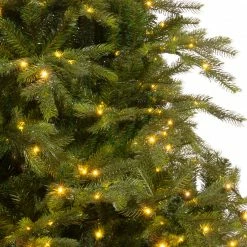The Christmas Palace 5 FT GRANDIS FIR PRE LIT WARM WHITE MICRO LED
