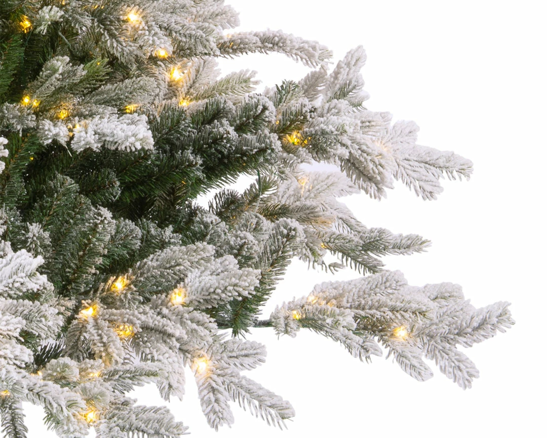 Best reviews of π The π
Christmas Palace 7 FT GRANDIS FIR SNOWY PRE LIT WARM WHITE MICRO LED π 2 The Christmas Palace 7 FT GRANDIS FIR SNOWY PRE LIT WARM WHITE MICRO LED